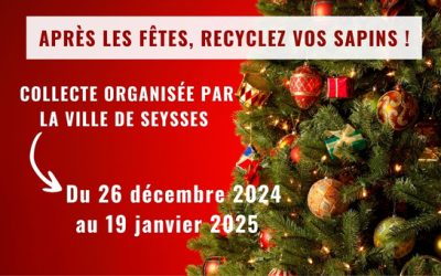 Dépose de sapins